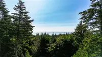 View 37