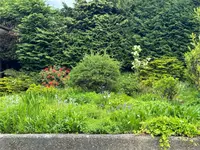 View 13