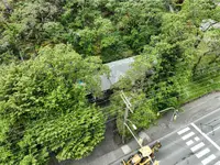 View 43