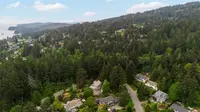 View 54