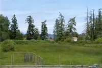View 45