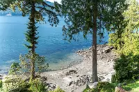 View 40