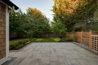View 50