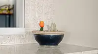 View 23
