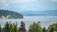 View 77
