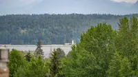 View 75