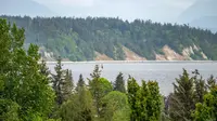 View 78