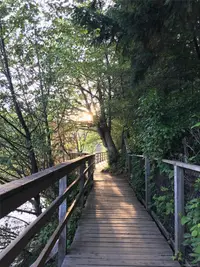 View 14