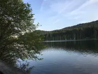 View 19