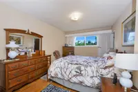 View 15