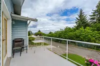 View 15