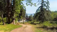 View 8