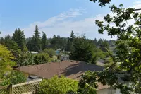View 42