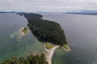 View 40