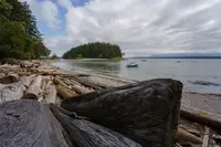 View 31