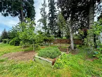 View 50