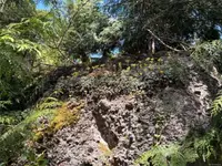 View 36