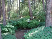 View 43