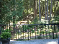 View 41