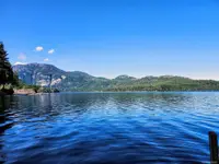 View 42