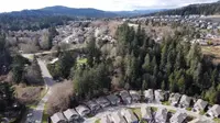View 40