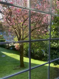 View 47