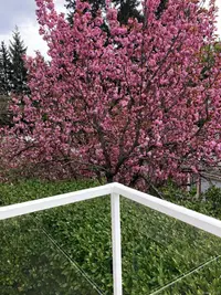 View 18