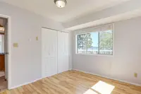View 50