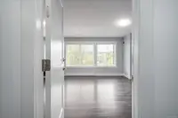 View 66
