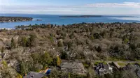 View 61