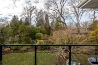 View 38