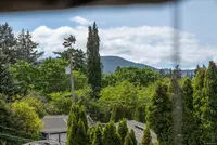 View 39