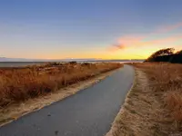 View 32
