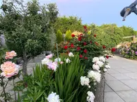 View 44