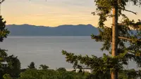 View 53