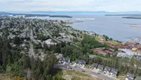 View 41