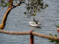 View 16