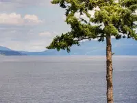 View 21