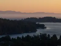 View 55