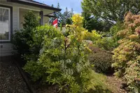View 33