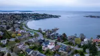 View 40