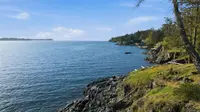 View 48