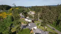 View 43