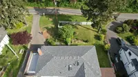 View 39