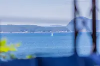 View 79