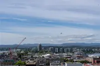 View 19