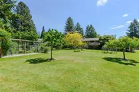 View 53