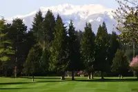 View 56