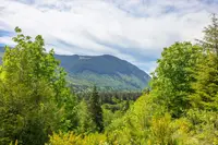 View 38