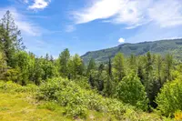 View 39
